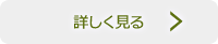 LinkIcon