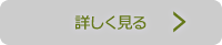 LinkIcon